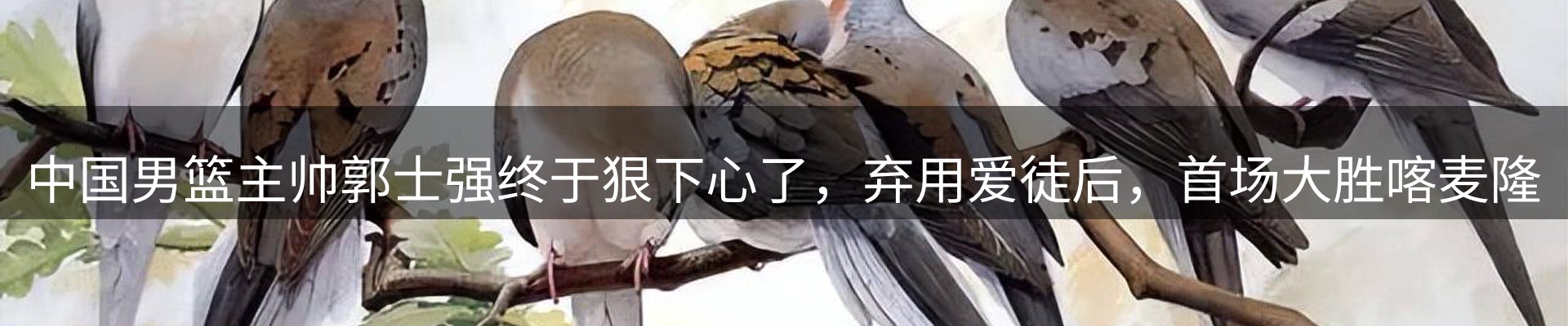 新闻动态